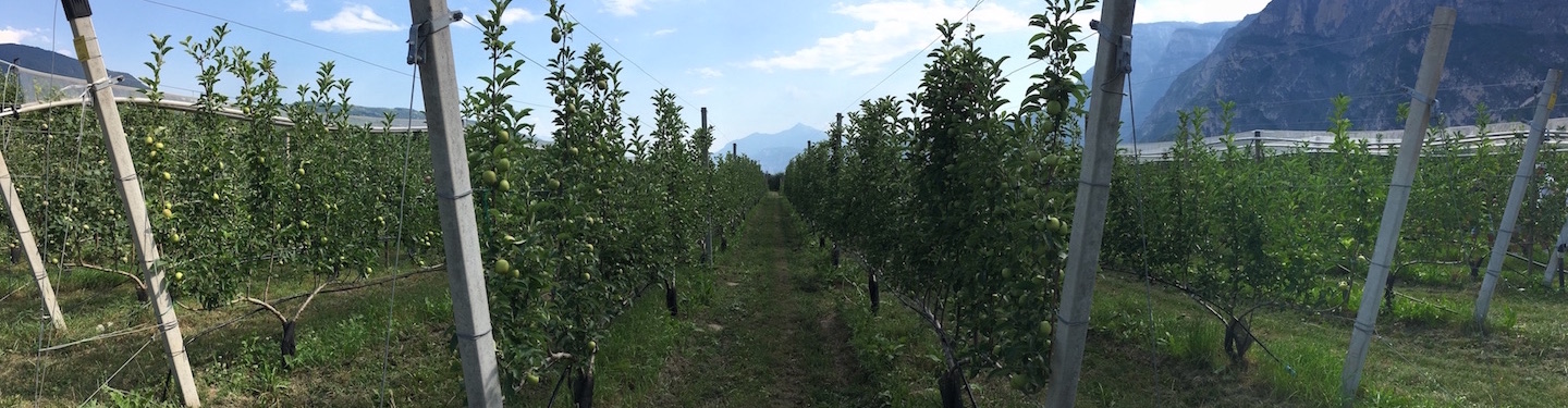 trentino frutticolo sostenibile